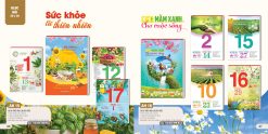 Bloc rời 20x30cm