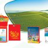 Lịch tết bình định, lịch tết đồng nai